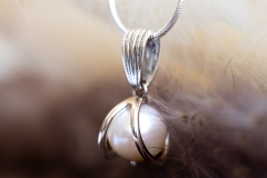 Online-Shop-548